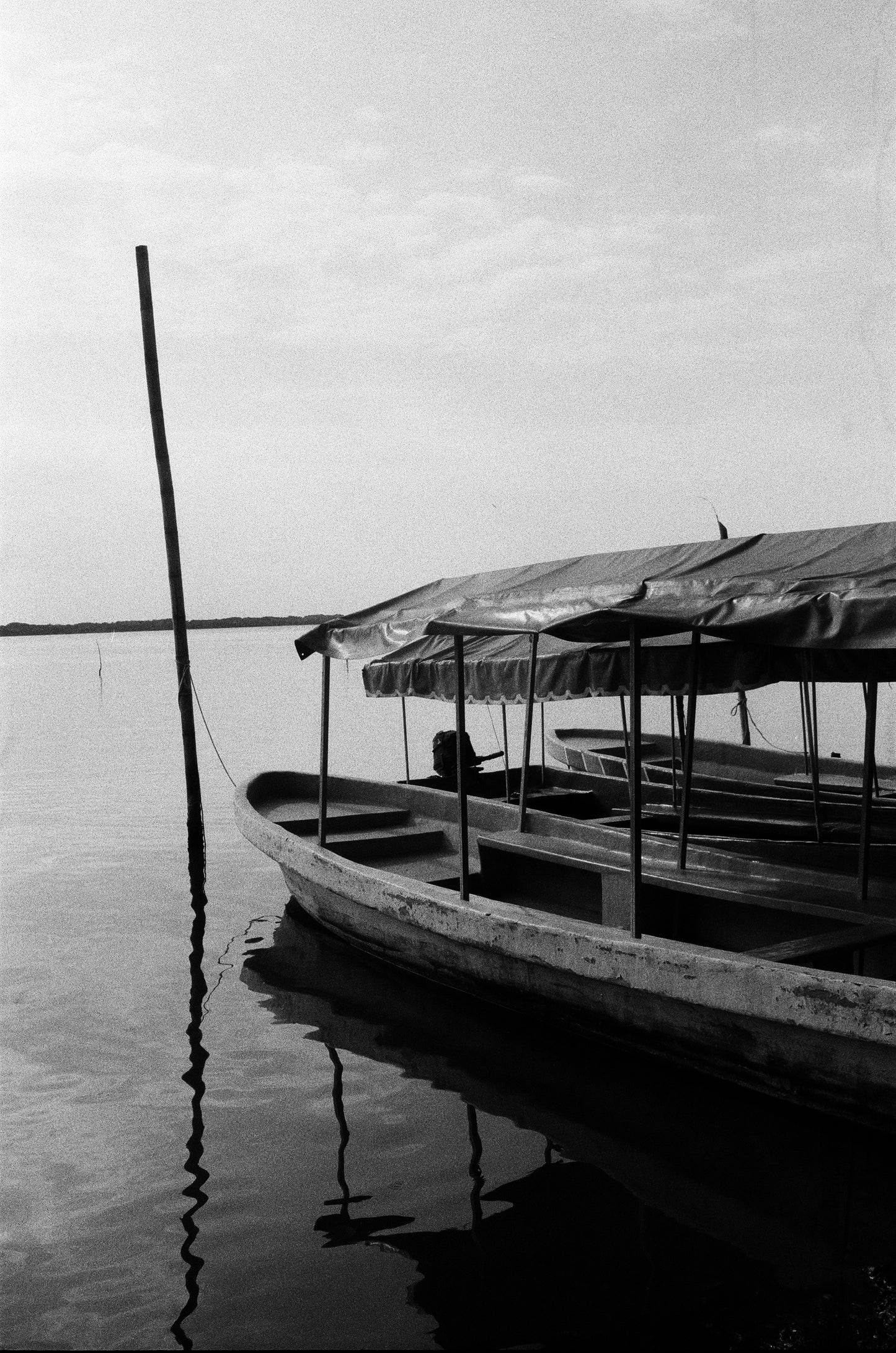 Rollei Paul & Reinhold 640 Película b/n 35mm - 2 rollos x 36exp