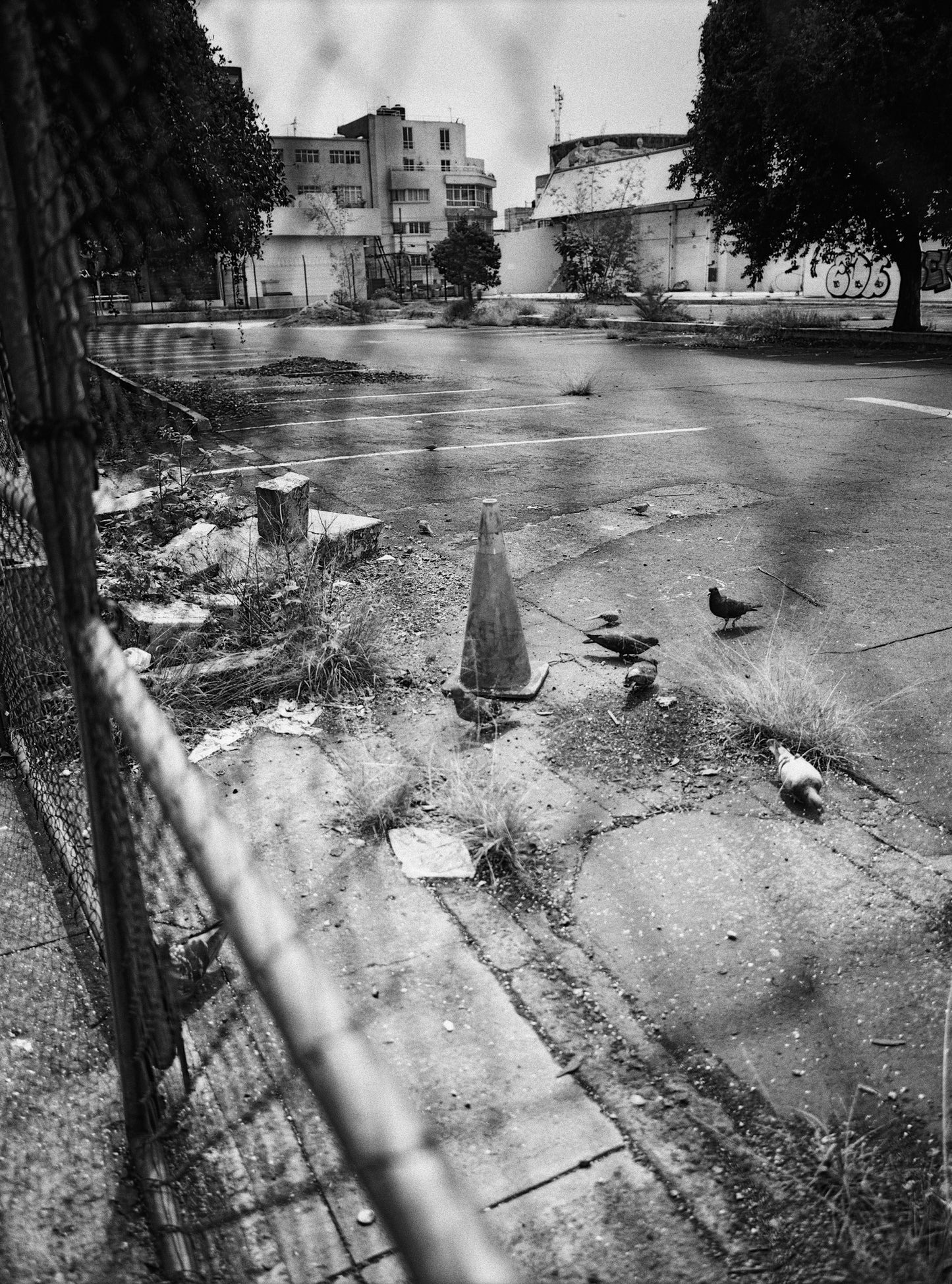 Rollei Retro 400S Película b/n 35mm 36 exp