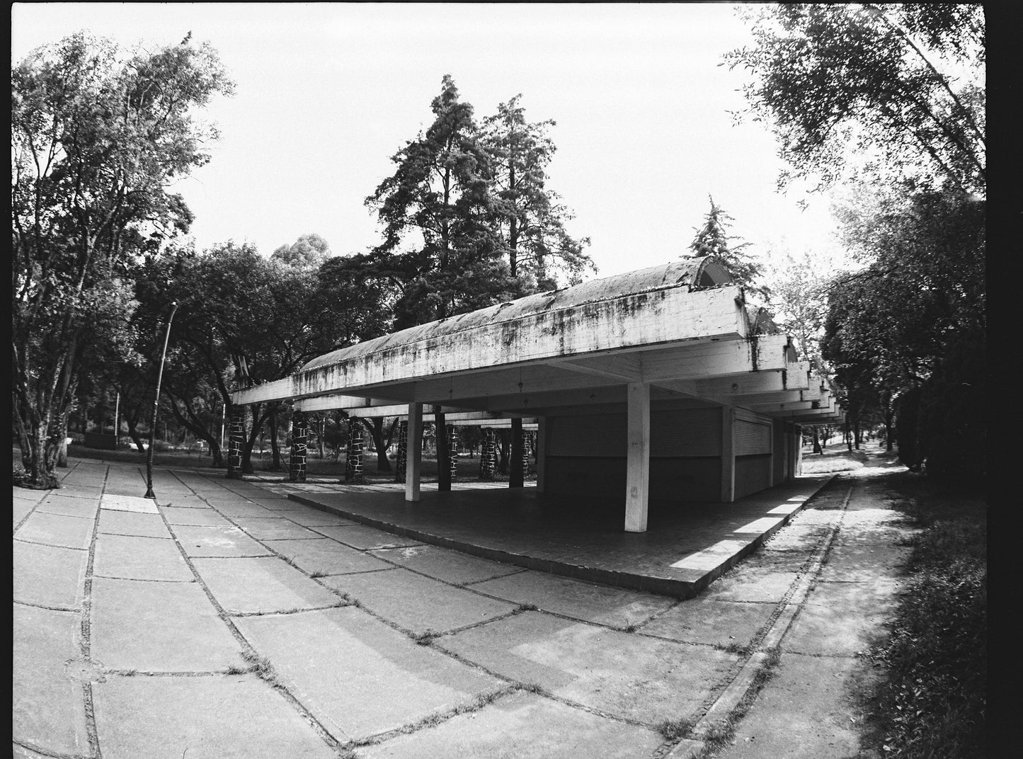 Rollei Retro 400S Película b/n 35mm 36 exp