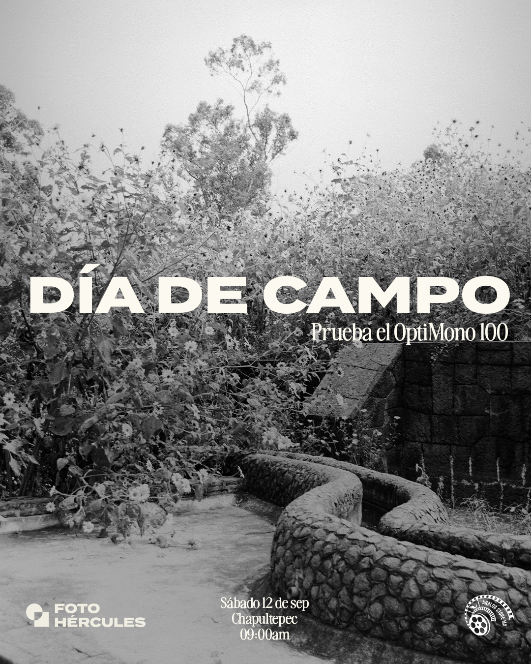 Día de Campo (Photowalk) 12 de septiembre con Analog Store