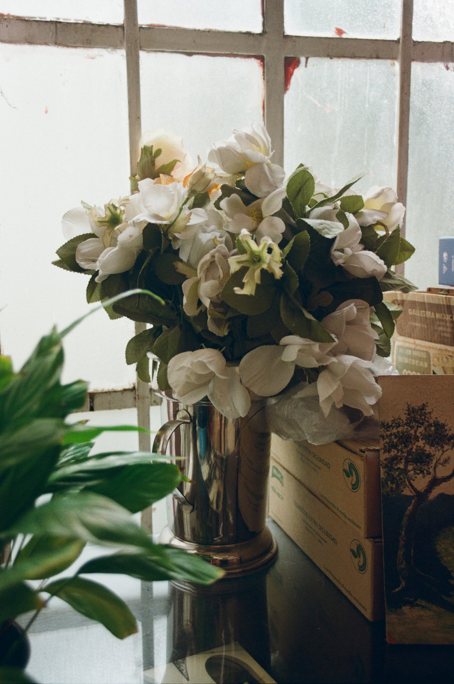 Fujifilm Fuji 200 Película Color C41 35mm 36 Exp